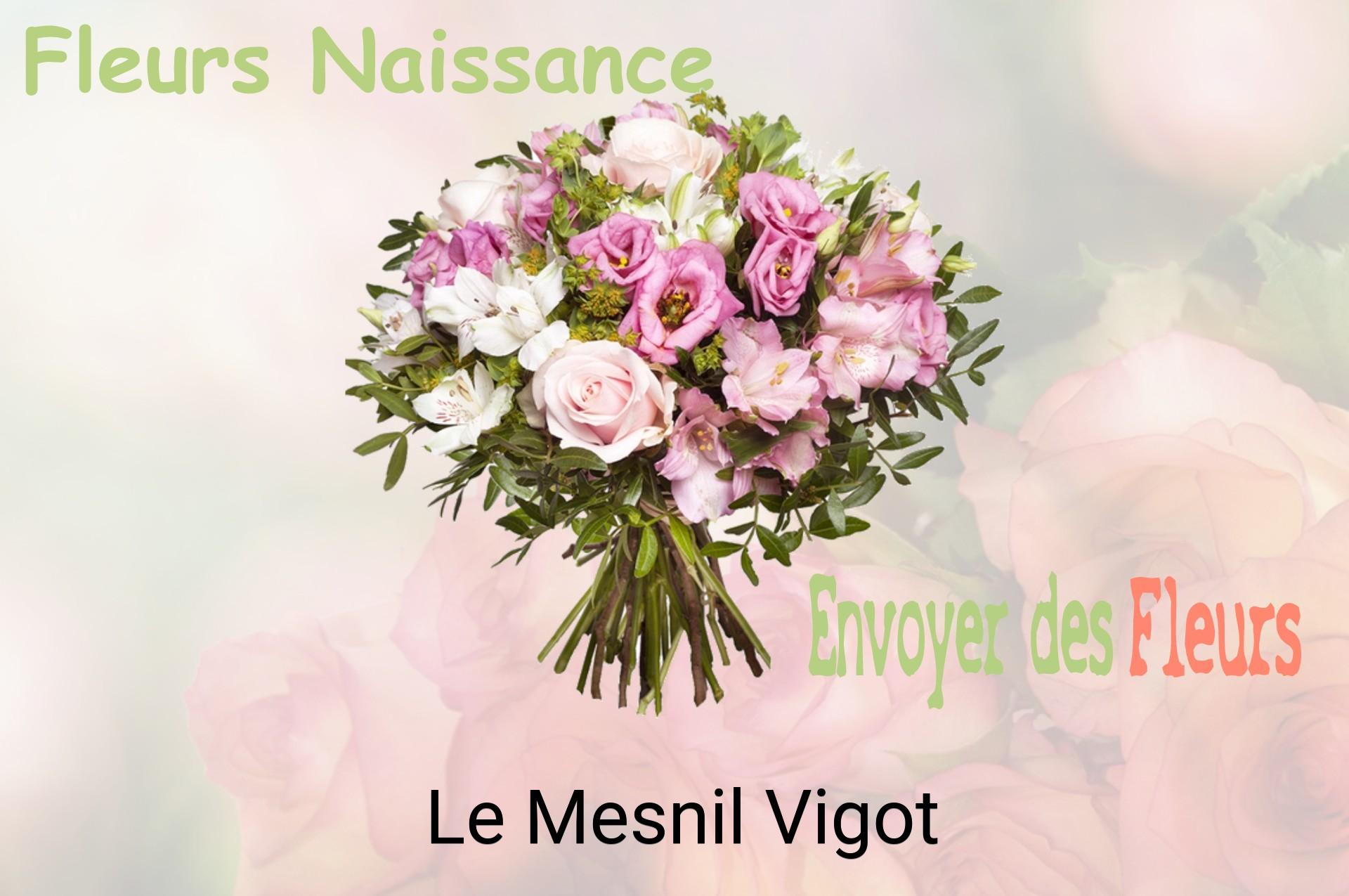 Bouquet de fleurs de naissance livré à Le Mesnil-Vigot